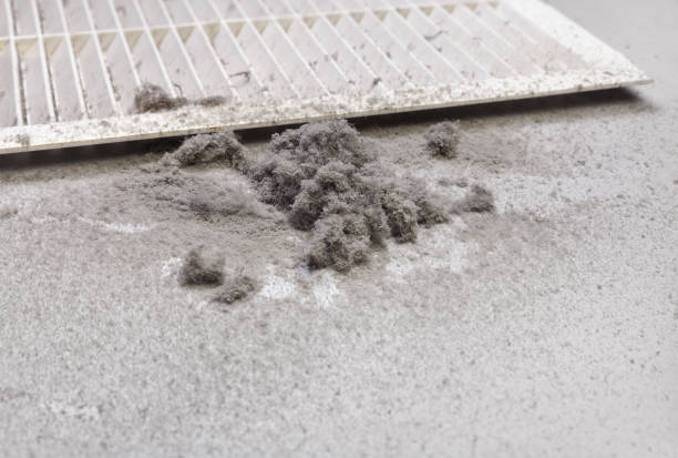 Best Air Duct Sanitizing Services  in Celina, TX