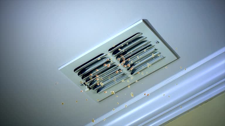 Best Residential Air Duct Cleaning  in Celina, TX